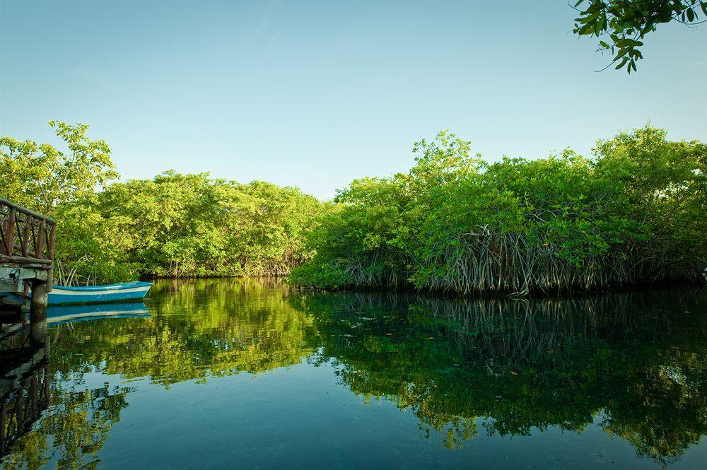 Bel Air Collection Resort & Spa Riviera Maya 스뿌하 외부 사진